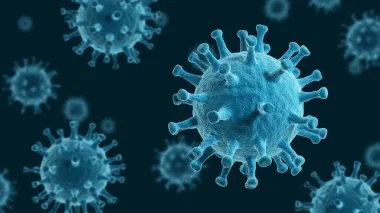 Virus du Nil occidental détecté pour la première fois en Belgique : la prudence est de mise