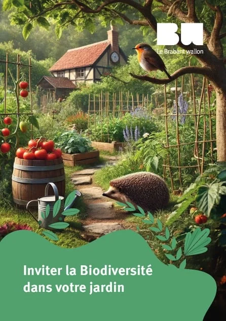 Brabant wallon : un territoire engagé pour sa biodiversité