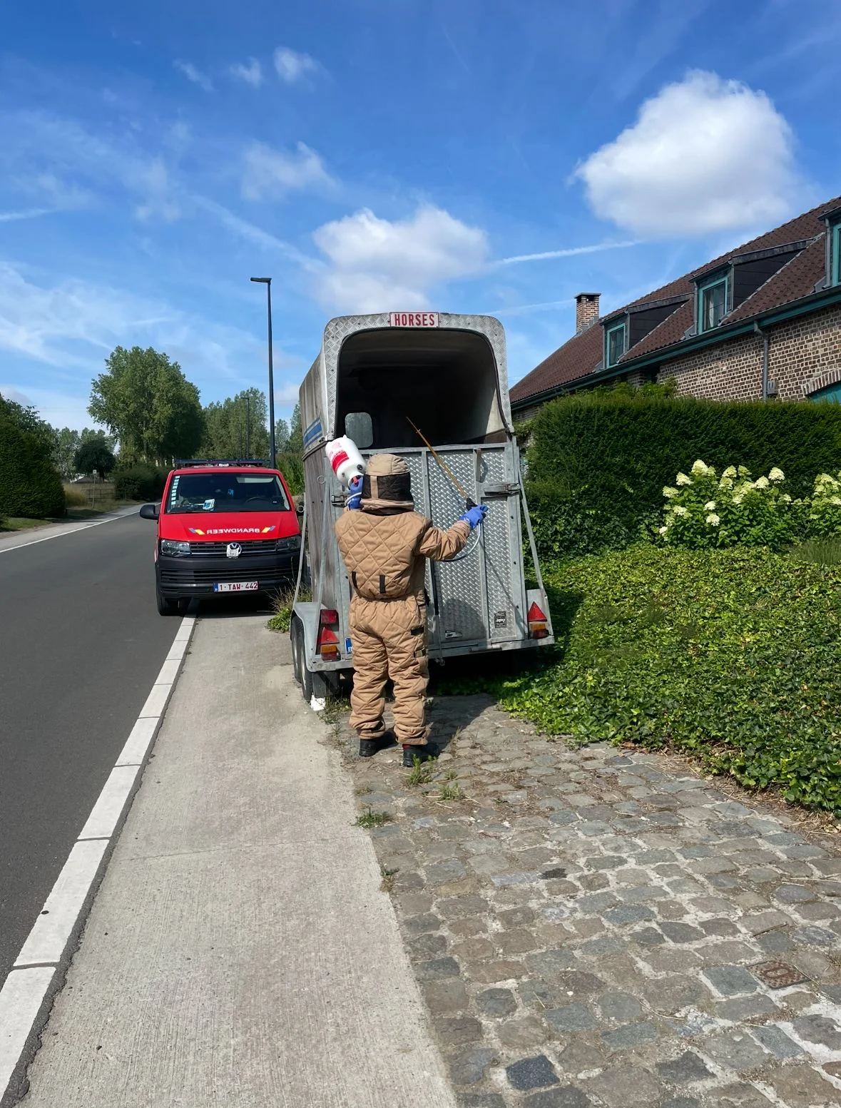 Le Brabant flamand occidental clôture une saison record de lutte contre les frelons asiatiques