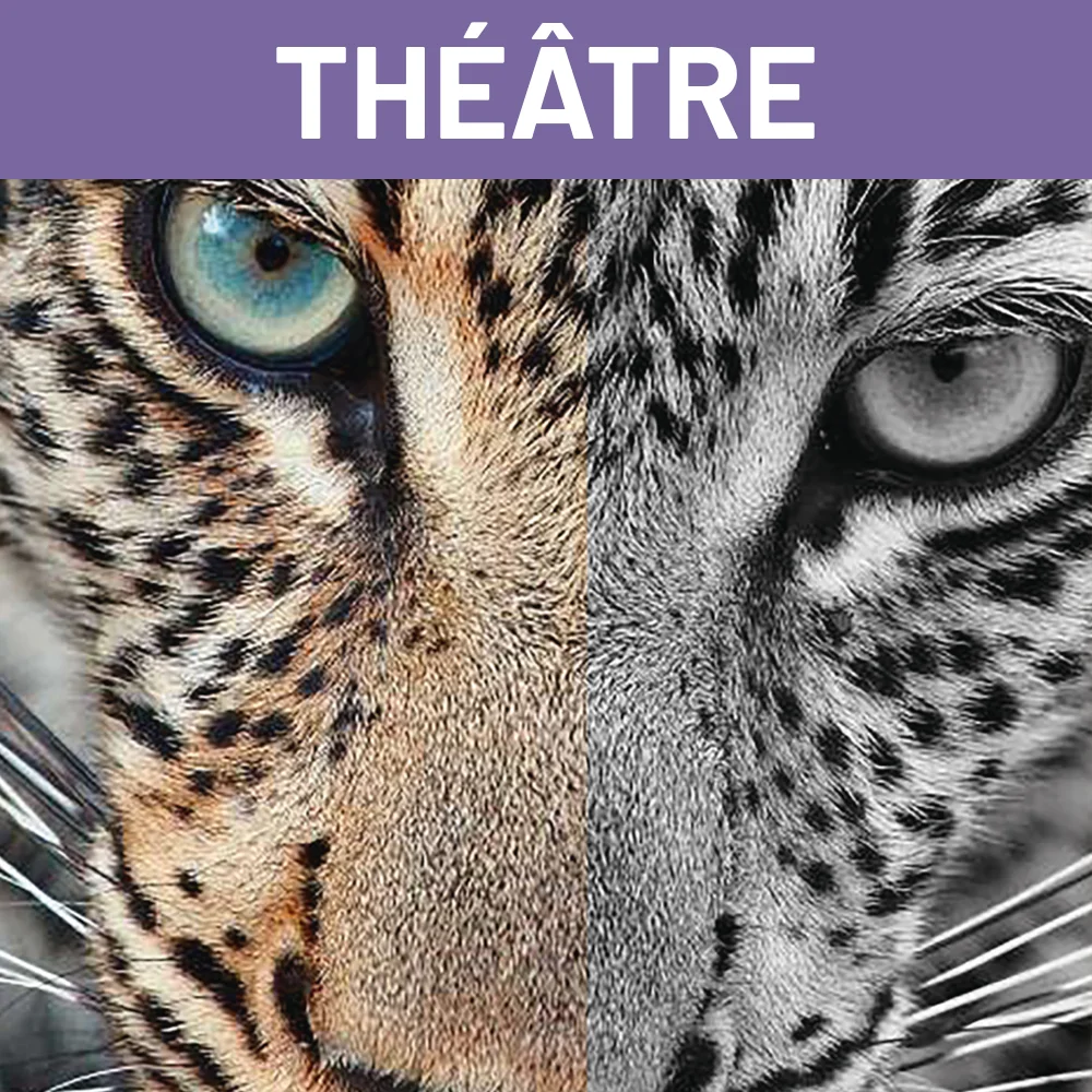 Polleur : “Le Repas des Fauves” s’installe au Théâtre l’Autre Rive le 23 janvier