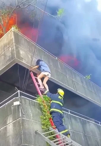 (VIDEO) Sauvetage héroïque aux Philippines : une femme tire ses chiens des flammes à Mandaue City