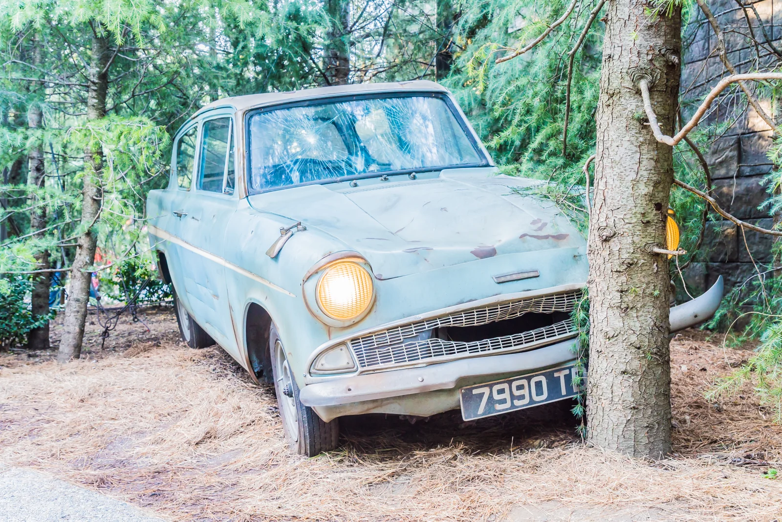 Accident à Vitrival : une conductrice percute un arbre après la traversée d’un sanglier