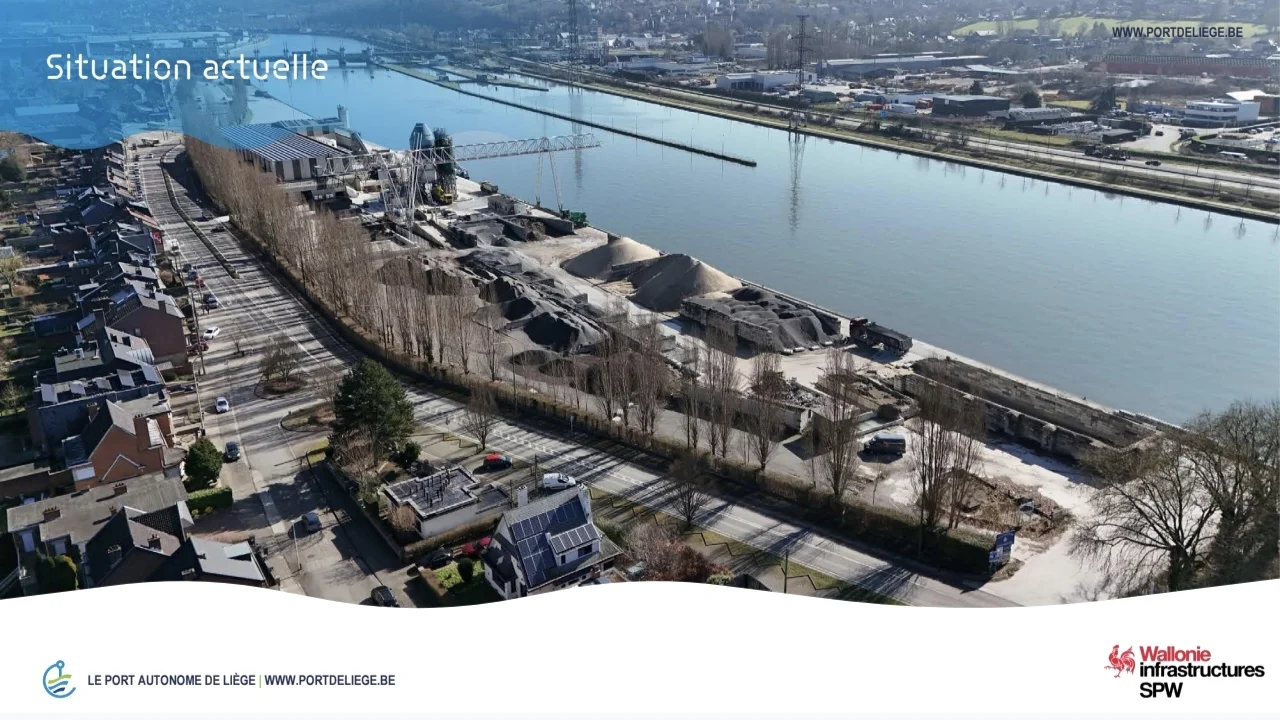 (PHOTOS) Sécurité renforcée sur la zone portuaire de Flémalle : des peupliers malades abattus et une replantation durable programmée