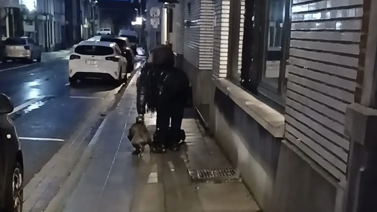 (VIDEOS) Un chien violemment frappé par son propriétaire en pleine rue, l’animal saisi par la police
